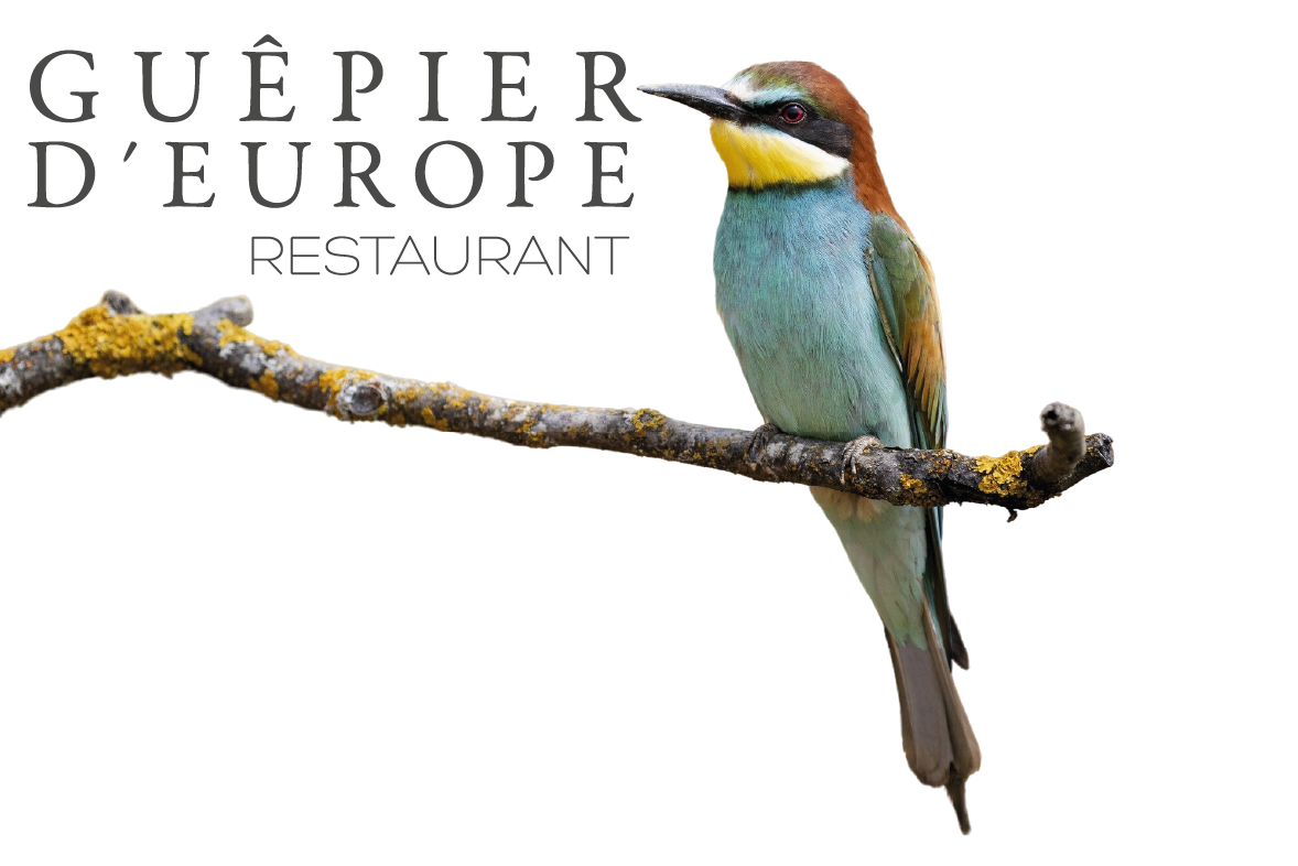 logo_guepier